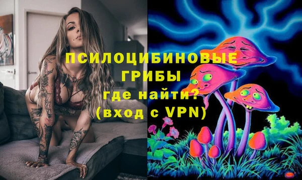 Альфа ПВП Майский