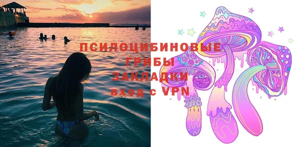 ГАЛЛЮЦИНОГЕННЫЕ ГРИБЫ Магадан