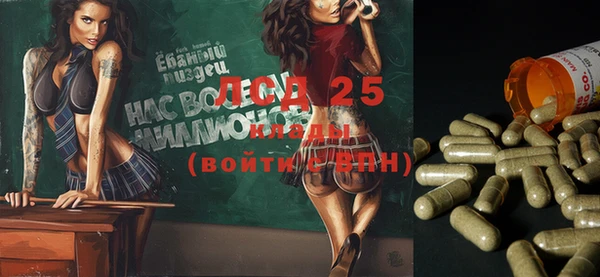 ГАЛЛЮЦИНОГЕННЫЕ ГРИБЫ Магадан