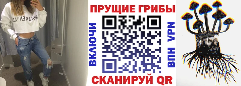 omg ССЫЛКА  Краснодар  Галлюциногенные грибы Magic Shrooms 